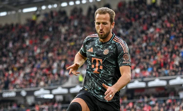 展现了其无 展现了其无